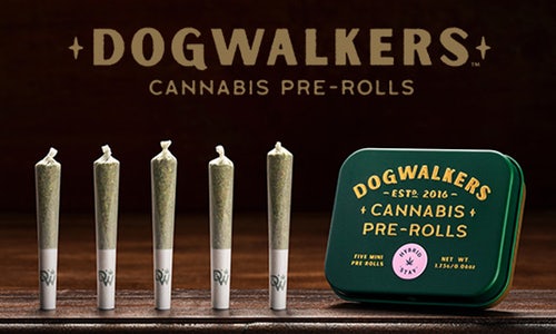 Dogwalkers Rebrand Entered in Brand Redesign • The Dank Investor