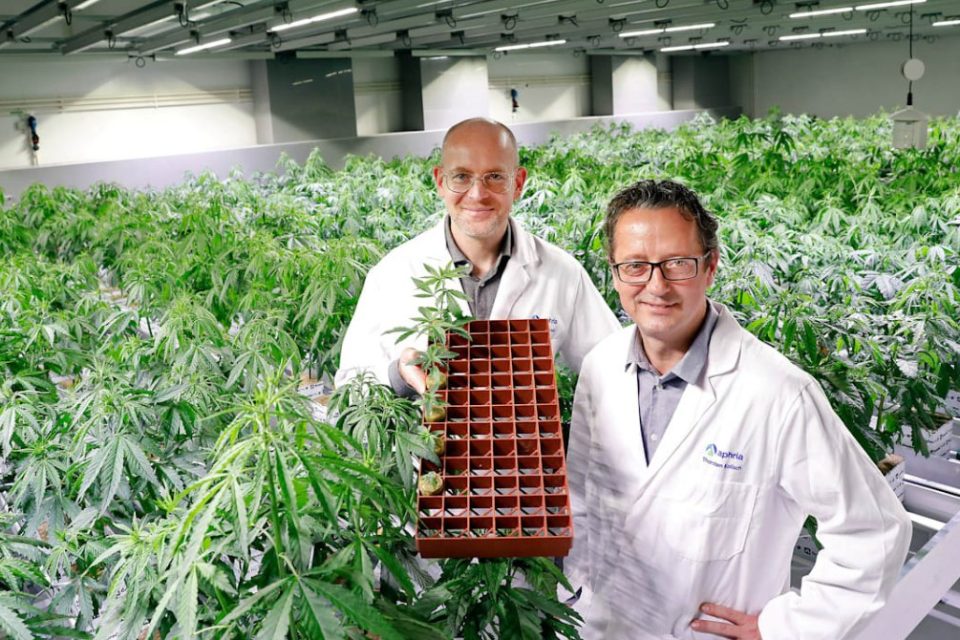 Aphria Files Amended and Restated Base Shelf Prospectus