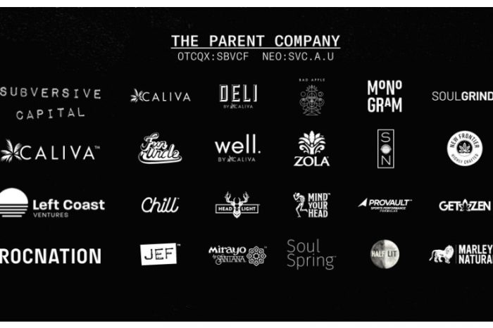The Parent Company