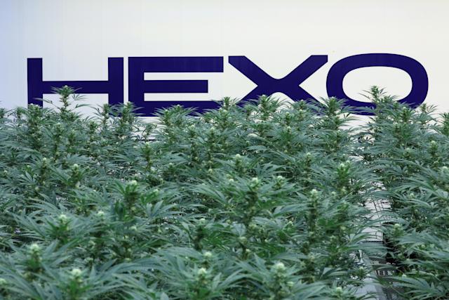 HEXO Posts the Departure of its CEO and Co-Founder Sebastien St-Louis